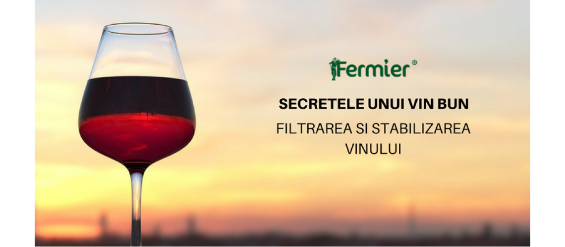 Secretele unui vin bun. Cum se filtreaza si se stabilizeaza corect vinul?