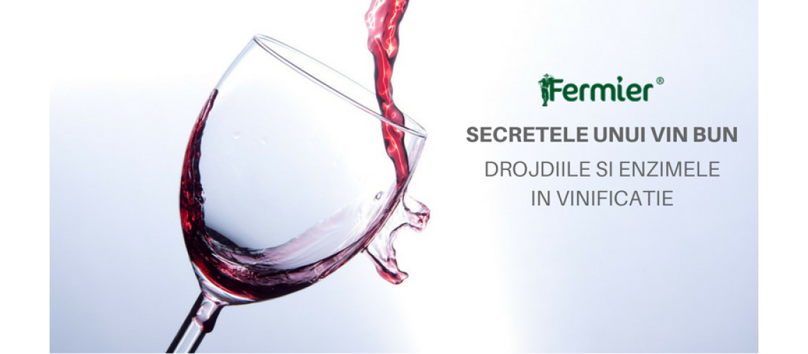 Secretele unui vin bun. De ce avem nevoie de enzime si de drojdii in vinificatie?