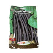 Seminte Fasole Oloaga Rosie Fideluta Purple Queen 100 Gr, Prima Sementi