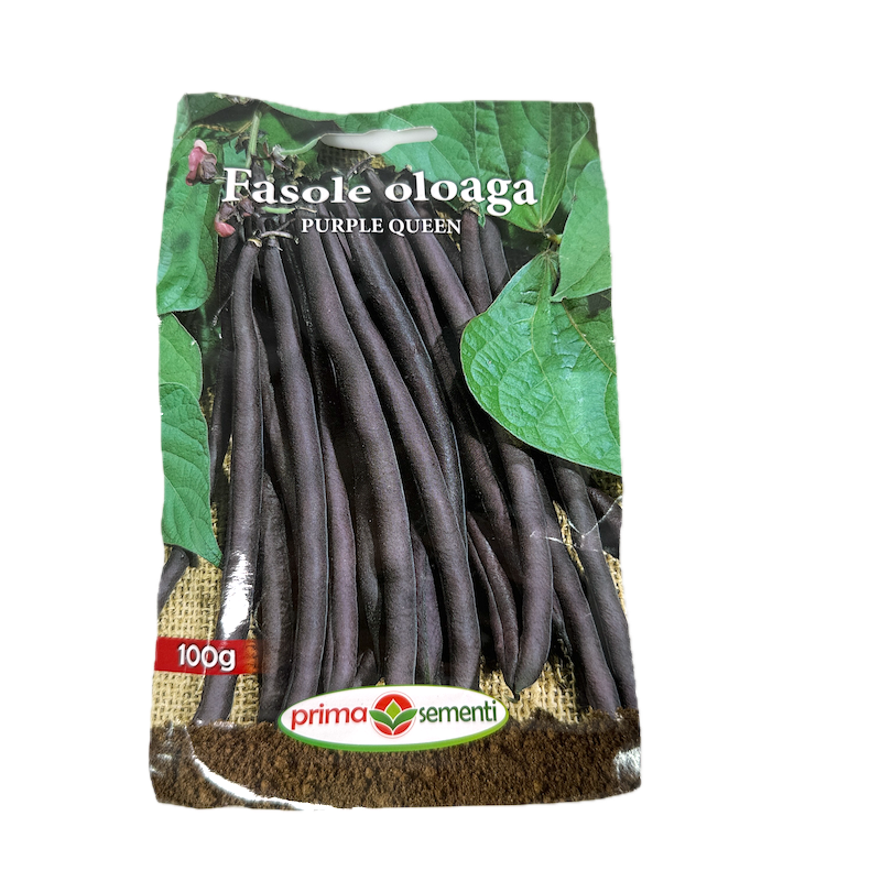 Seminte Fasole Oloaga Rosie Fideluta Purple Queen 100 Gr, Prima Sementi