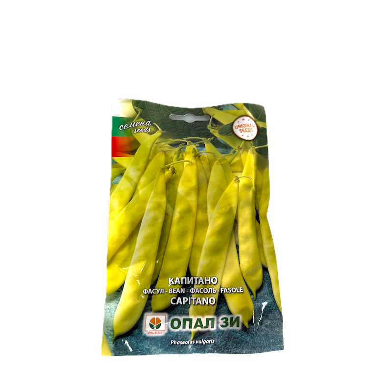 Seminte Fasole De Gradina Galbena, Lata, Oloaga Capitano 80 Gr, Opalzi Bulgaria