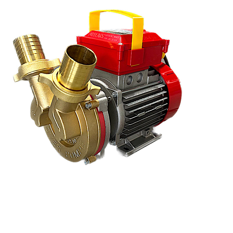 Electropompa Rover 40 Pentru Transvazare Vin Si Lichide Alimentare