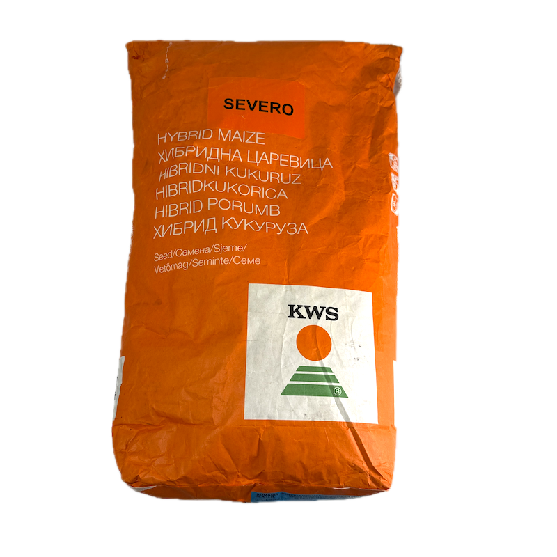 Seminte Porumb Kws Severo, 25.000 Boabe, Fao 280, Morarit
