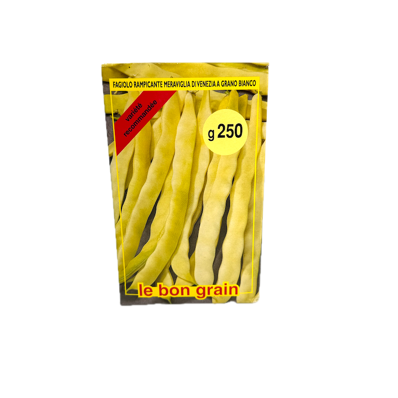 Seminte Fasole Lata Urcatoare Galbena Meraviglia Di Venezia 250 Gr