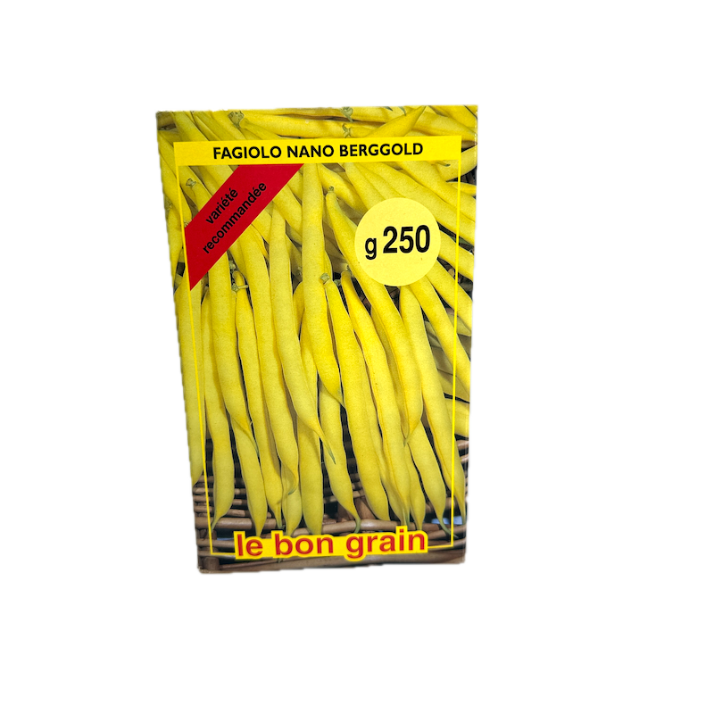 Seminte Fasole Oloaga Galbena Fideluta Bergold 250 Gr, Le Bon Grain