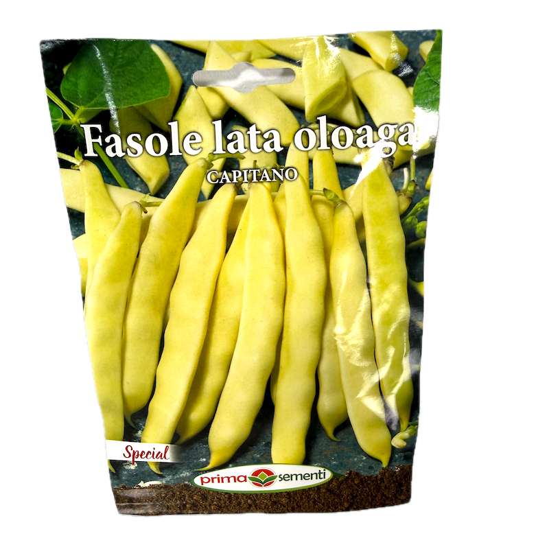 Seminte Fasole De Gradina Galbena, Lata, Oloaga Capitano 50 Gr, Prima Sementi