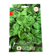 Seminte Spanac Winter Giant 30 Gr, Opalzi Bulgaria