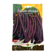 Seminte Fasole Oloaga Lata Violetto 100 Gr, Prima Sementi