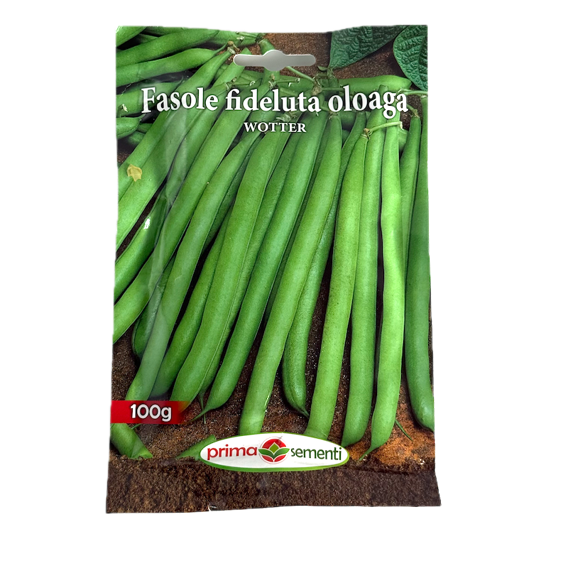 Seminte Fasole Oloaga Verde Fideluta Wotter 100 Gr, Prima Sementi