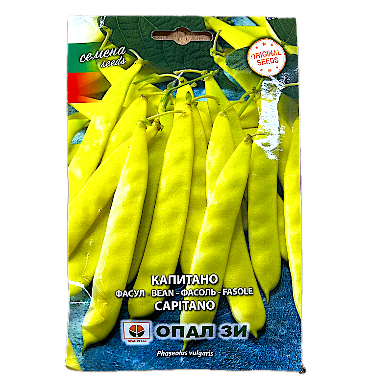 Seminte Fasole De Gradina Galbena, Lata, Oloaga Capitano 40 Gr, Opalzi Bulgaria