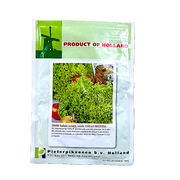 Seminte Salata Creata Verde Lollo Bionda 10 Gr, Holland