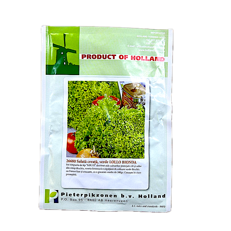 Seminte Salata Creata Verde Lollo Bionda 10 Gr, Holland