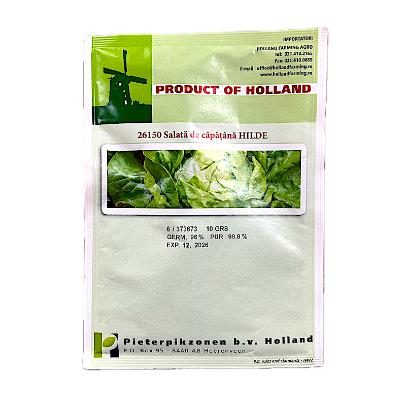 Seminte Salata De Capatana Hilde 10 Gr, Holland