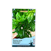 Seminte Busuioc Verde Sweet Basil 1 Gr, Holland
