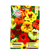 Seminte Flori Condurul Doamnei Pitic Mix 2Gr, Opalzi Bulgaria