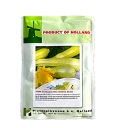 Seminte Dovlecel White Bush 25 Gr, Holland