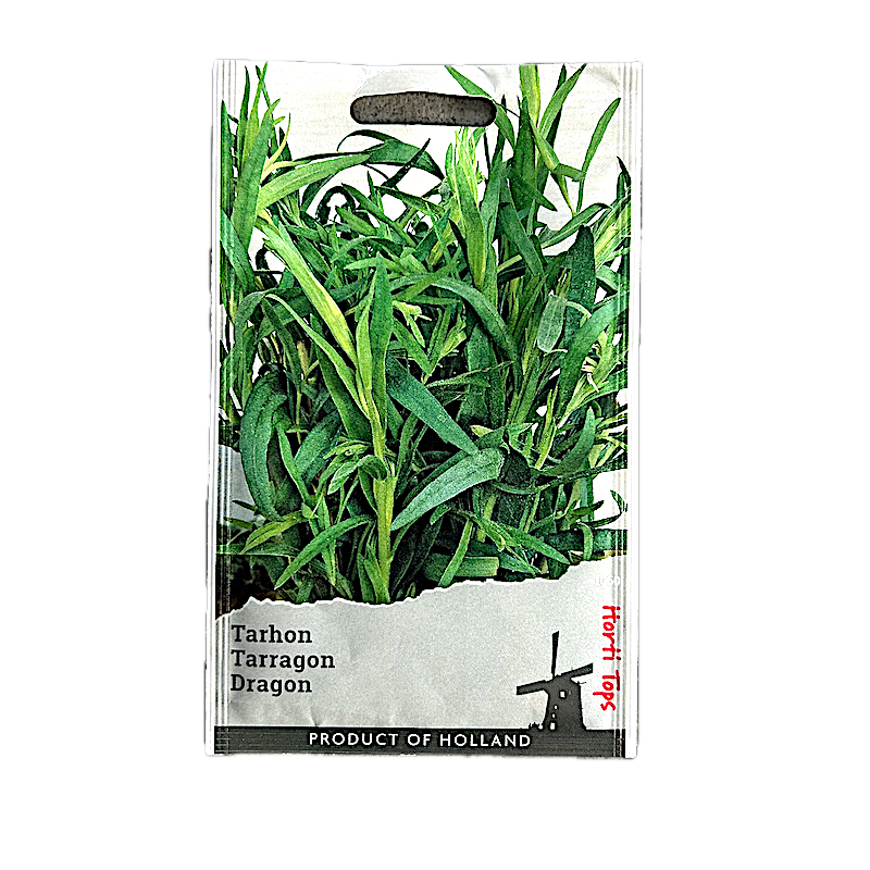 Seminte Tarhon 0,1 Gr, Holland