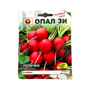 Seminte Ridichi Giant Butter 5 Gr, Opalzi Bulgaria