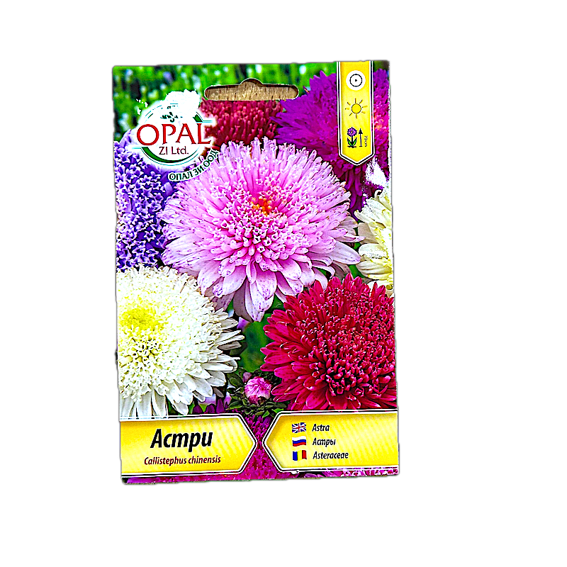 Seminte Flori Asteraceae Princess (Ochiul Boului) 0,7Gr, Opalzi Bulgaria