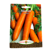 Seminte Morcov Touchon 5 Gr, Prima Sementi