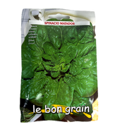 Seminte Spanac Matador 30 Gr, Le Bon Grain