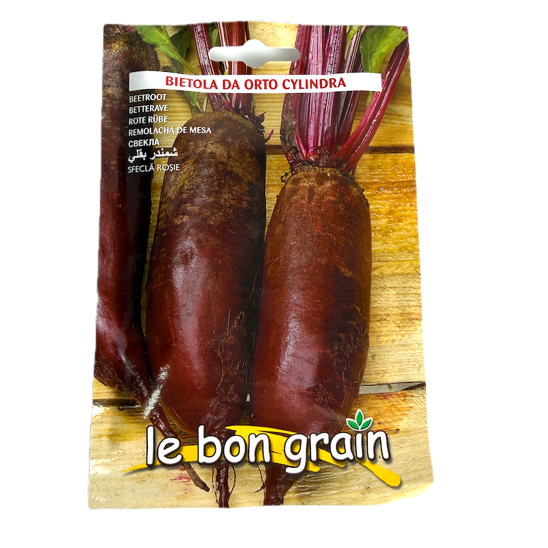 Seminte Sfecla Rosie Cilyndra 9 Gr, Le Bon Grain