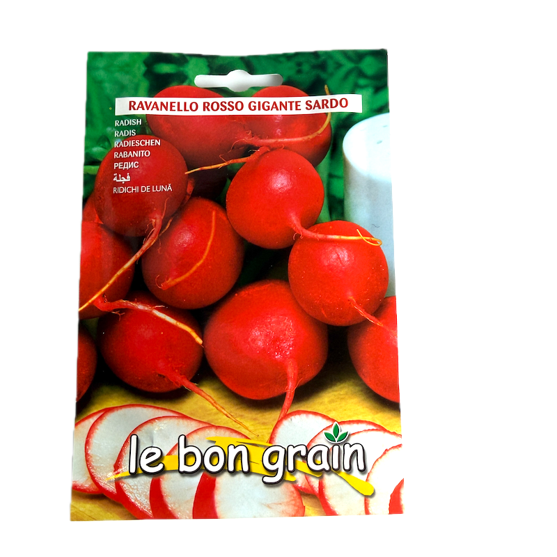 Seminte Ridichi Rosso Gigante Sardo 13 Gr, Le Bon Grain
