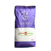 Seminte Lucerna Teodora C1 10 Kg, Prima Sementi