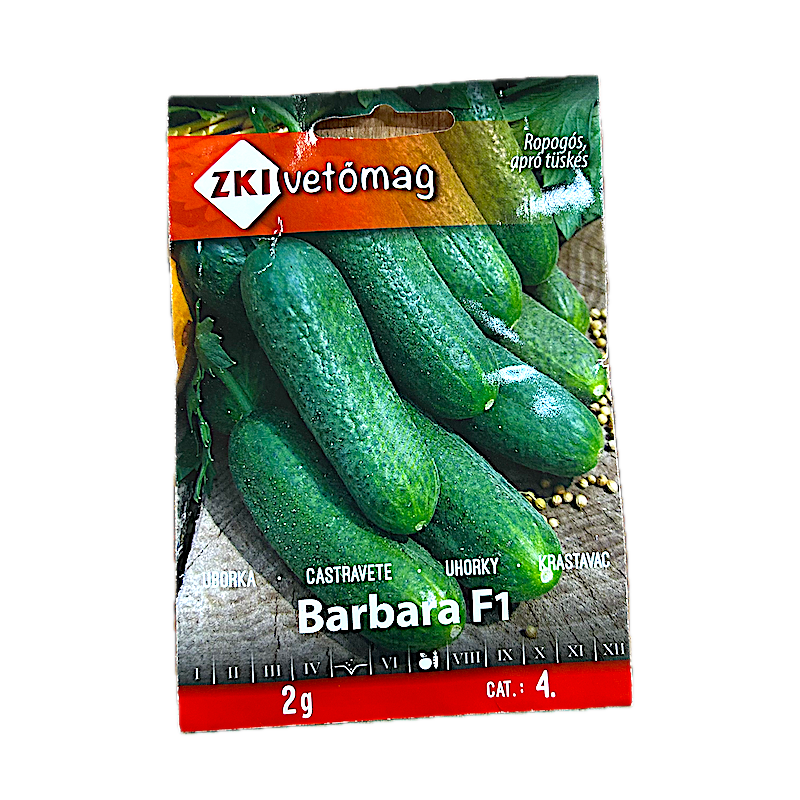 Seminte Castraveti Barbara F1 2 Gr, Zki