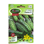 Seminte Castraveti Cornison Levina F1 2 Gr, Florian Bulgaria