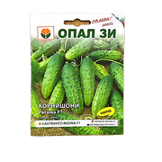 Seminte Castraveti Cornison Regina F1 2 Gr, Opalzi Bulgaria