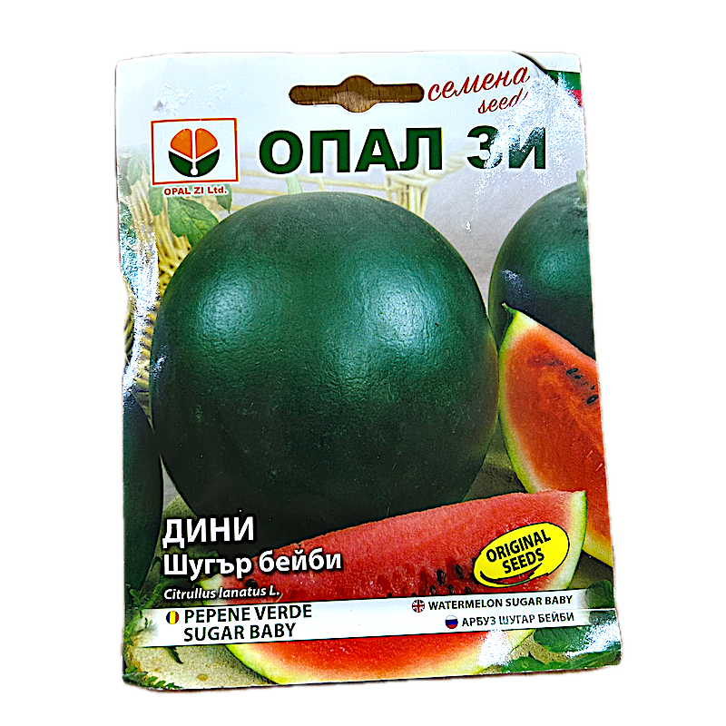 Seminte Pepene Verde Sugar Baby 3 Gr, Opalzi Bulgaria