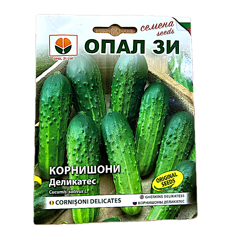 Seminte Castraveti Cornison Delicates 2 Gr, Opalzi Bulgaria