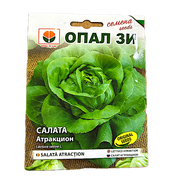 Seminte Salata Atraction 2 Gr, Opalzi Bulgaria