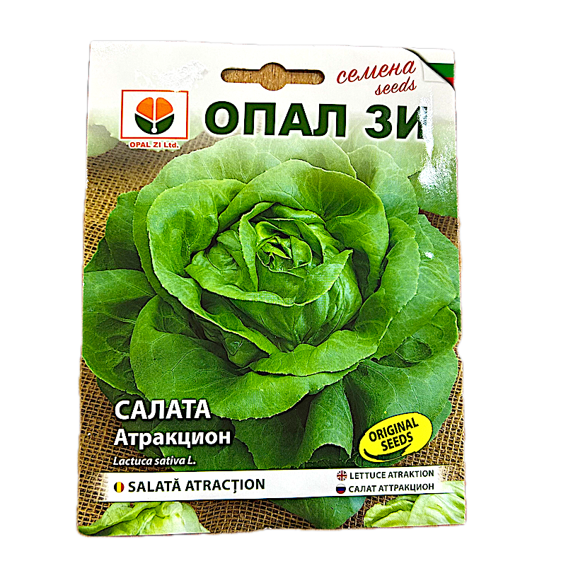 Seminte Salata Atraction 2 Gr, Opalzi Bulgaria