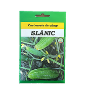 Seminte Castravete De Camp Slanic 10 Gr, Scdl Buzau