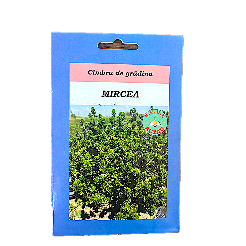 Seminte Cimbru De Gradina Mircea 5 Gr, Scdl Buzau