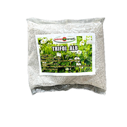 Seminte Trifoi Alb 500 Gr, Prima Sementi