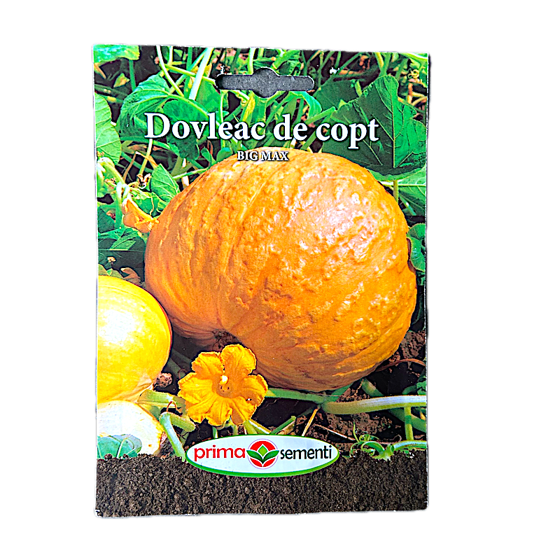 Seminte Dovleac De Copt Big Max 3 Gr, Prima Sementi