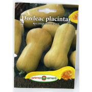 Seminte Dovleac De Copt Waltham Butternut 5 Gr, Prima Sementi