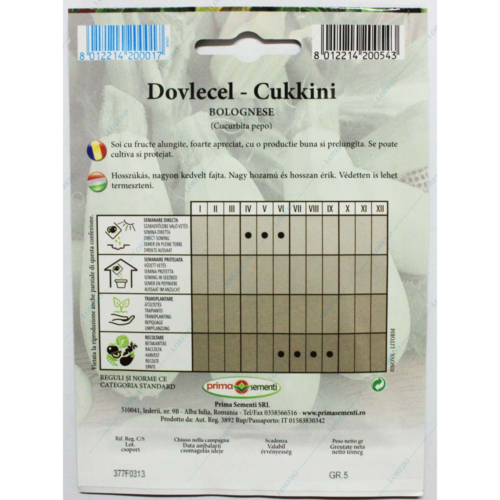 Seminte Dovlecel Bolognese 5 Gr, Prima Sementi