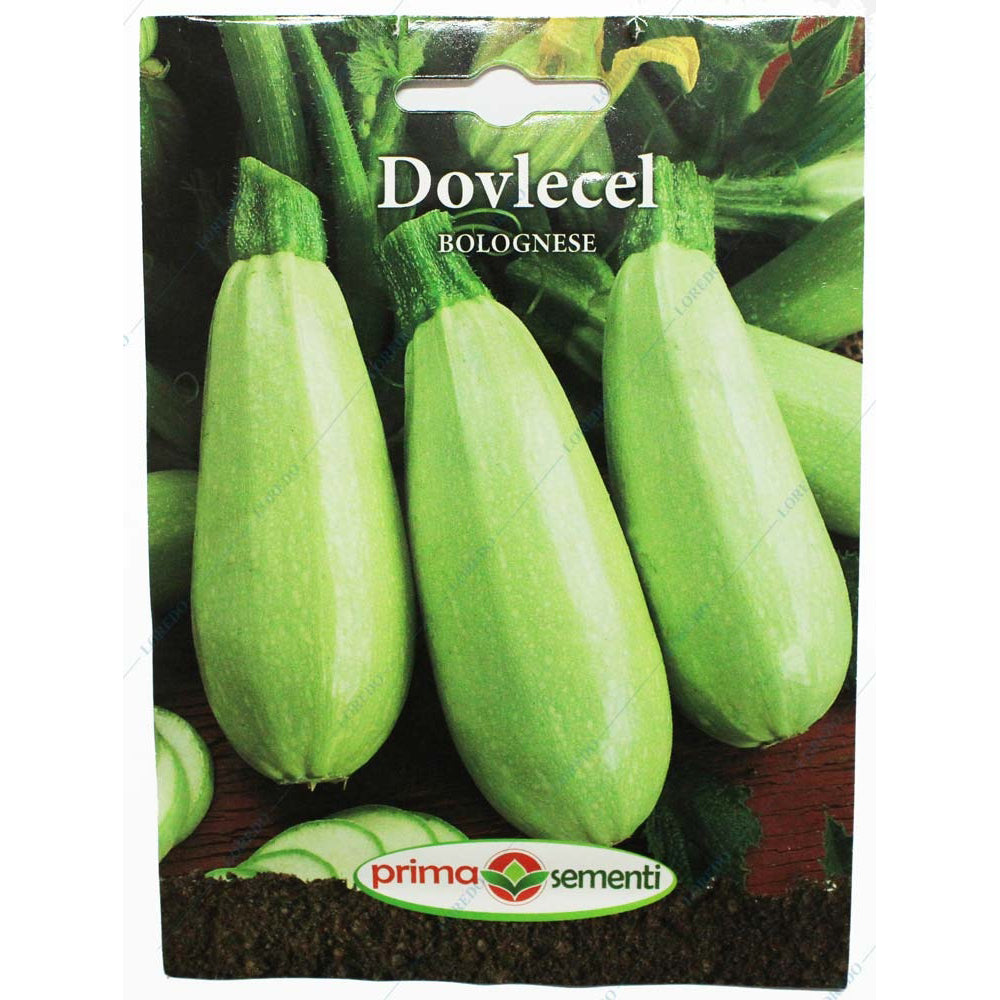 Seminte Dovlecel Bolognese 5 Gr, Prima Sementi