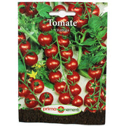 Seminte Tomate Cherry Ciliegia