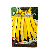 Seminte Fasole Lata Urcatoare Galbena Meraviglia Di Venezia 50 Gr, Prima Sementi