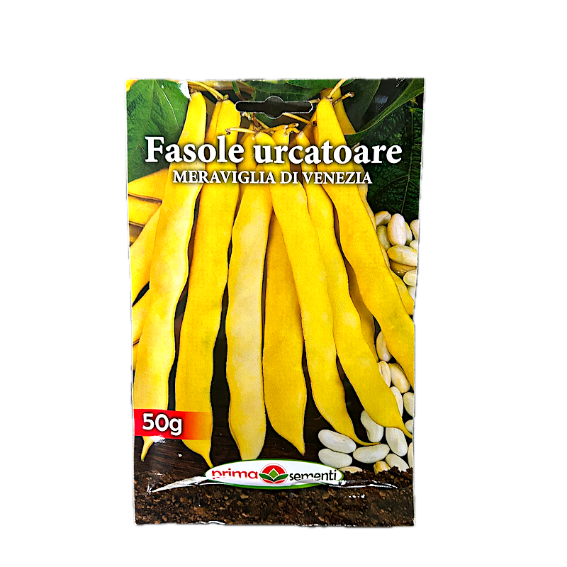 Seminte Fasole Lata Urcatoare Galbena Meraviglia Di Venezia 50 Gr, Prima Sementi