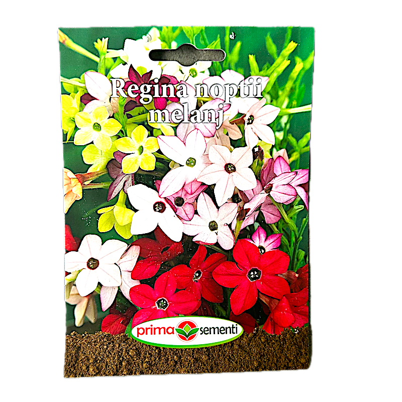 Seminte Flori Regina Noptii Melanj 0.5 Gr, Prima Sementi