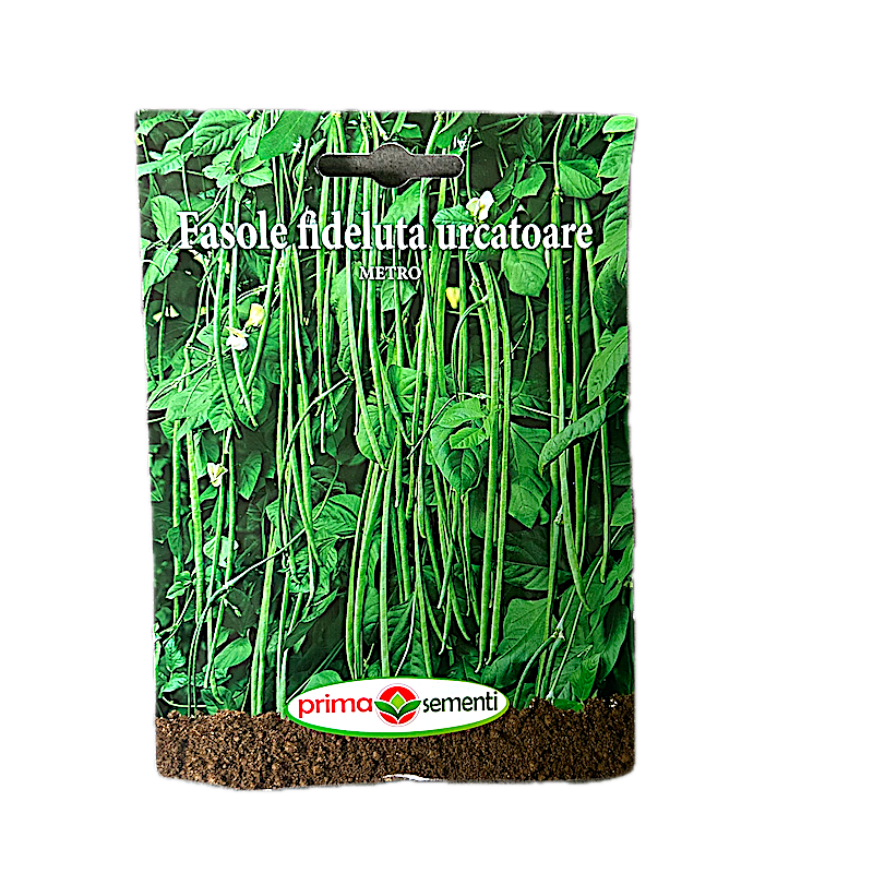 Seminte Fasole Fideluta Urcatoare Verde Metro 10 Gr, Prima Sementi