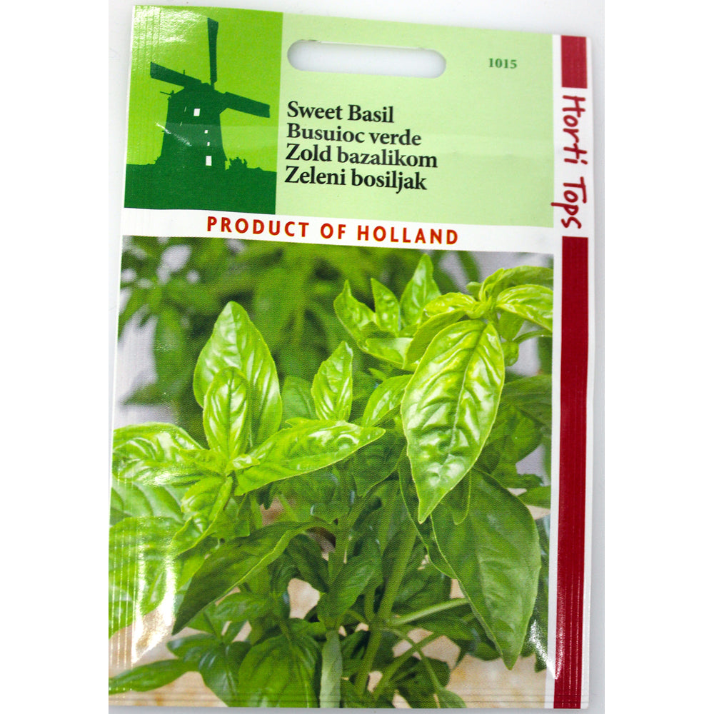 Seminte Busuioc Verde 1 Gr, Holland