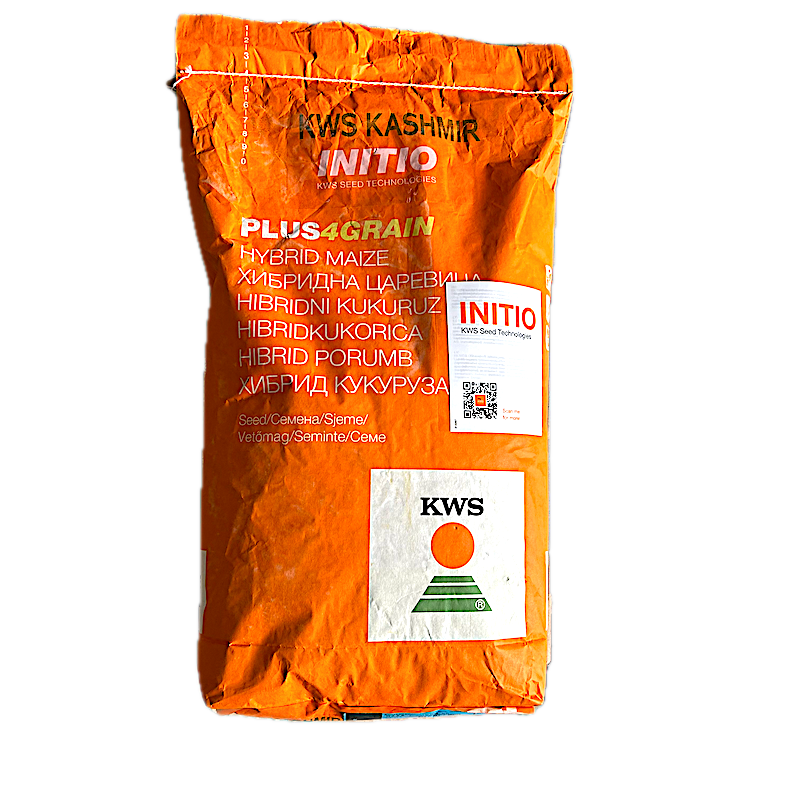 Seminte Porumb Kws Kashmir 25.000 Boabe, Fao 370, Grupa Plus4Grain