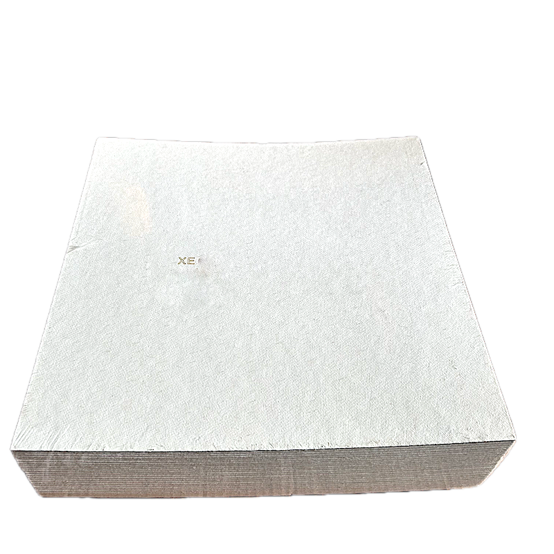 Placa Filtranta Versafix Xe 94, 40X40, Dimensiune Mare, Filtrare Vin Medie (Vin Limpede)